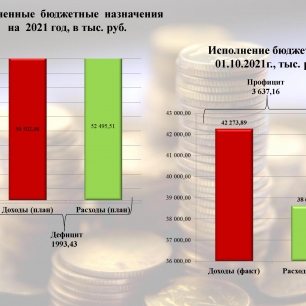 Уточненные бюджетные назначения на 2021 год, в тыс. руб. Исполнение бюджета на 01.10.2021г., тыс. руб.
